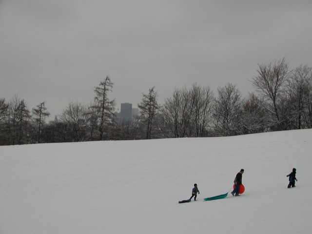 Picture Rochester NY New York I Luv NY Sledders at Cobbs Hill Park return up the hill for another ride.  Rochester skyline visible in background. January 5th 2003 POD I Love NY Rochester NY New York Picture Of The Day view picture photo image pictures photos images, January 5th 2003 POD
