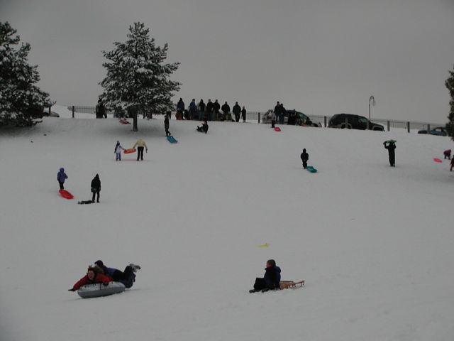Picture Rochester NY New York I Luv NY snow tube with two riders sledding down hillside as crowd watches at Cobbs Hill Park enjoying the winter recreation that brings out the kids young and old.  January 7th 2003 POD I Love NY Rochester NY New York Picture Of The Day view picture photo image pictures photos images, January 7th 2003 POD