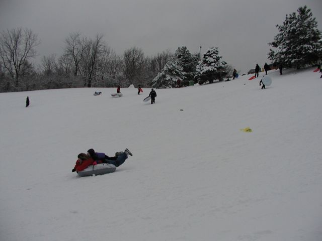 Picture Rochester NY New York I Luv NY sledding down hillside Cobbs Hill Park and Reservior as others climb back up enjoying the winter recreation that brings out the kids young and old.  January 8th 2003 POD I Love NY Rochester NY New York Picture Of The Day view picture photo image pictures photos images, January 8th 2003 POD