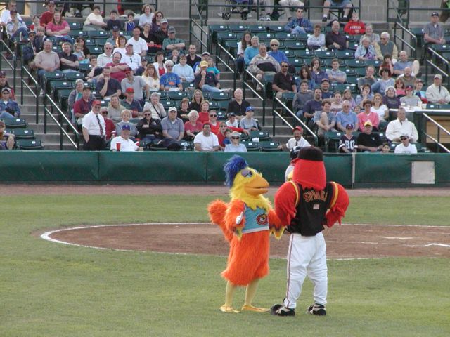 Picture Foul Friends Frontier Field Red Wings Spikes Meets The San Diego Chicken Rochester NY Picture Of The Day from DigitalSter.Com & RocPic.Com spring summer fall winter pictures photos images people buildings events concerts festivals photo image at digitalster.com new images daily 2003 Rochester New York Spring I Love NY I luv NY Rochester New York Jun 19th 2003 POD spring view picture photo image pictures photos images