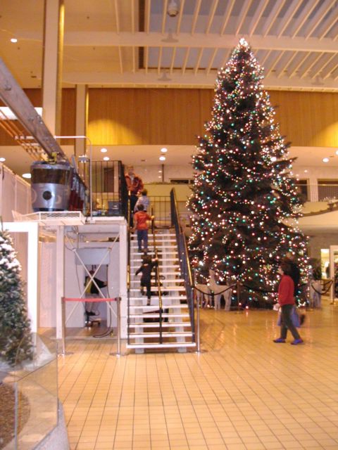 Picture Rochester NY New York Midtown Plaza Monorail and Christmas Tree, kids file up the stairs of loading platform for a ride on the Polar Express December 22nd 2002 POD Rochester NY New York Picture Of The Day December view picture photo image pictures photos images, December 22nd 2002 POD